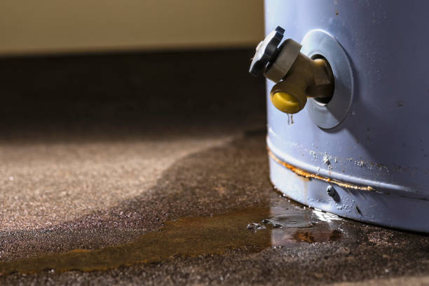 Best 24-hour water damage restoration  in Milpitas, CA