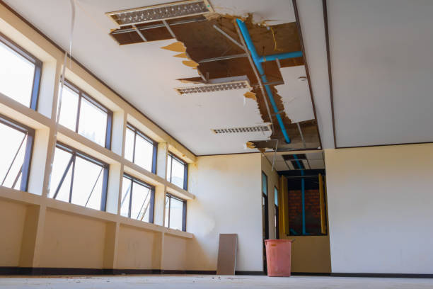 Best Water damage restoration company  in Milpitas, CA
