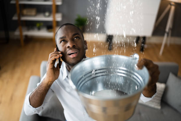 Best 24-hour water damage restoration  in Milpitas, CA