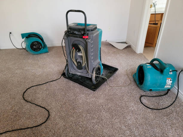 Best Residential water damage restoration  in Milpitas, CA