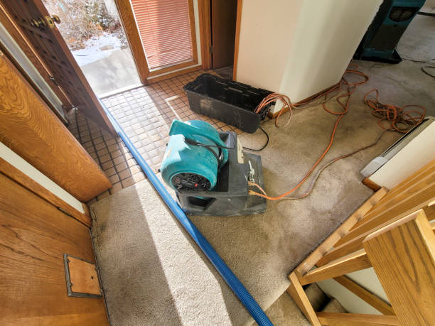 Best Water damage contractors near me  in Milpitas, CA