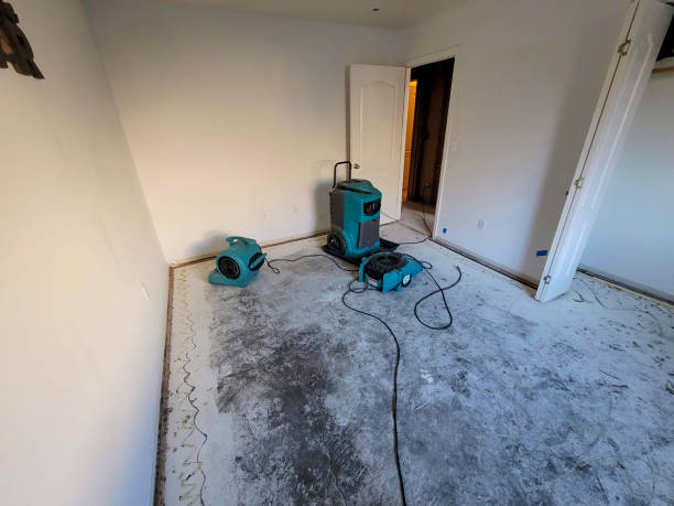 Best Residential water damage restoration  in Milpitas, CA