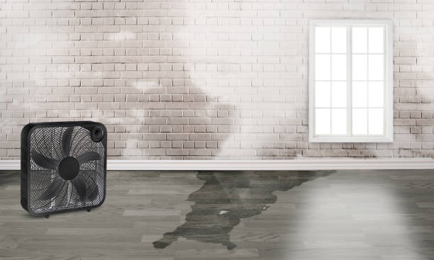 Best 24/7 water damage repair  in Milpitas, CA