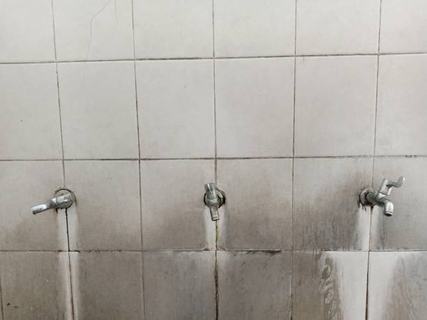 Best Local water damage restoration  in Milpitas, CA