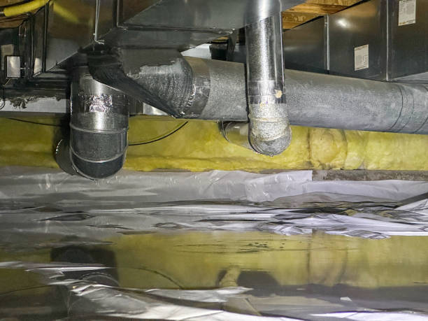 Best Local water damage restoration  in Milpitas, CA