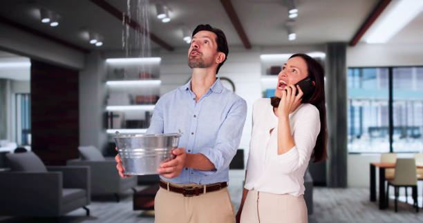 Best Commercial water damage restoration  in Milpitas, CA